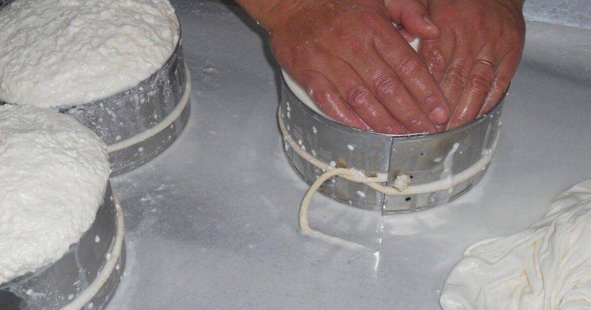 http://coisasdealimentos.blogspot.pt/2013/07/queijo.html