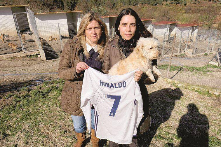 http://www.cmjornal.pt/sociedade/detalhe/ronaldo-solidario-da-camisola-a-canil