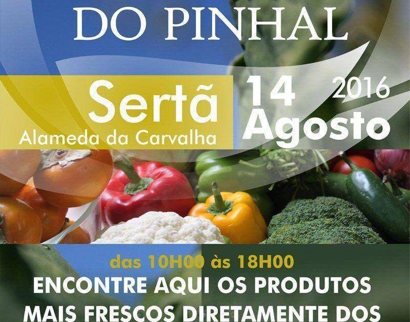 Quintais nas Praças do Pinhal