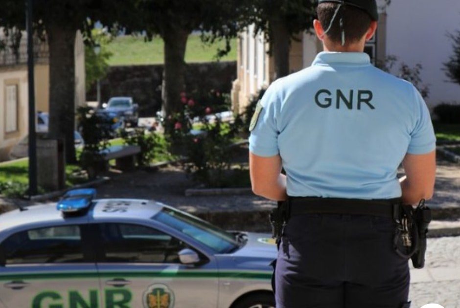Gnr11