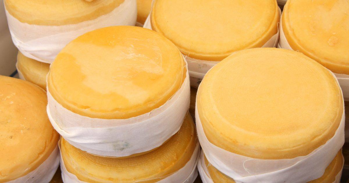 Queijo Serra