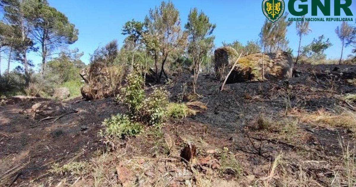 Gnr Guarda Incêndio
