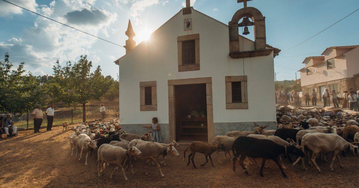 Bencao Rebanhos Vilafranca