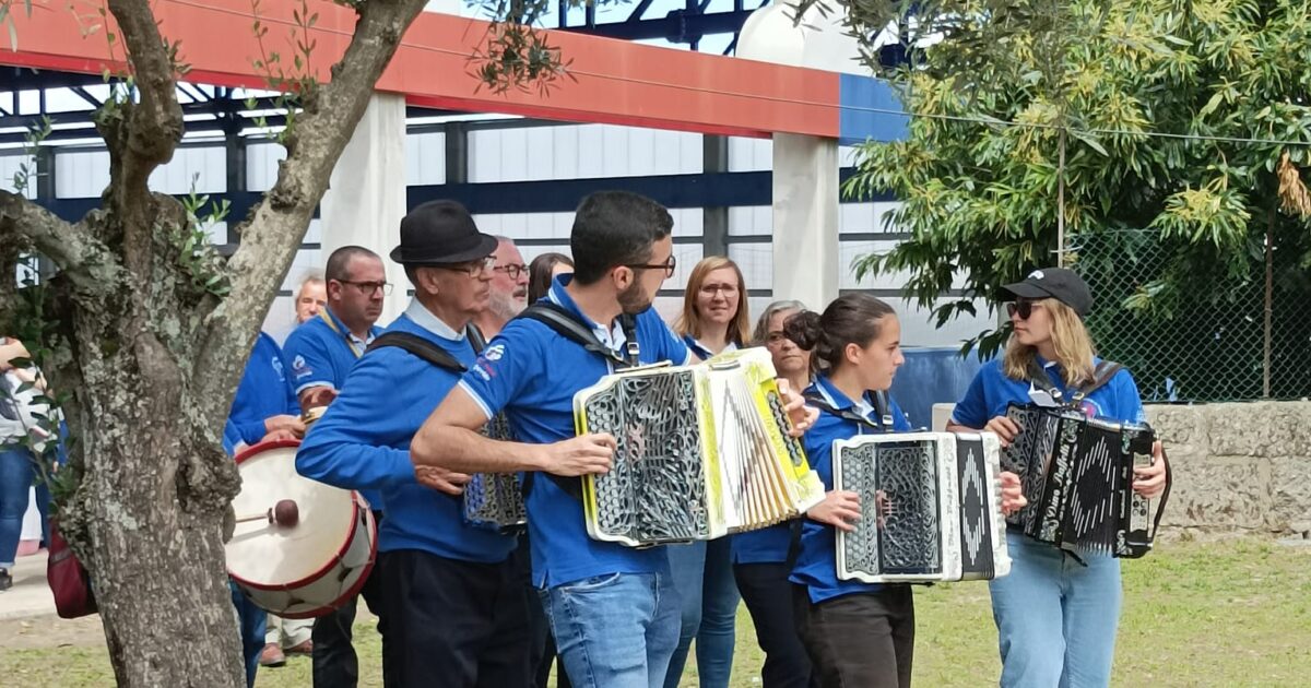 Concertinas Gouveia Mun