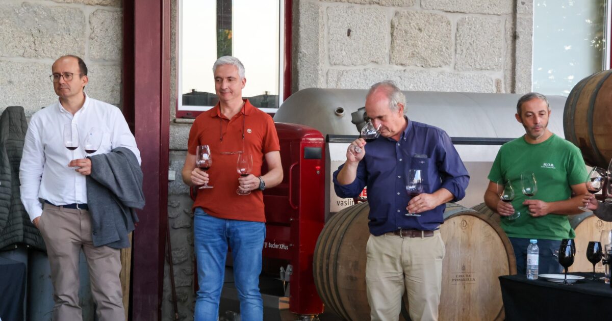 Dao Congresso Vinho